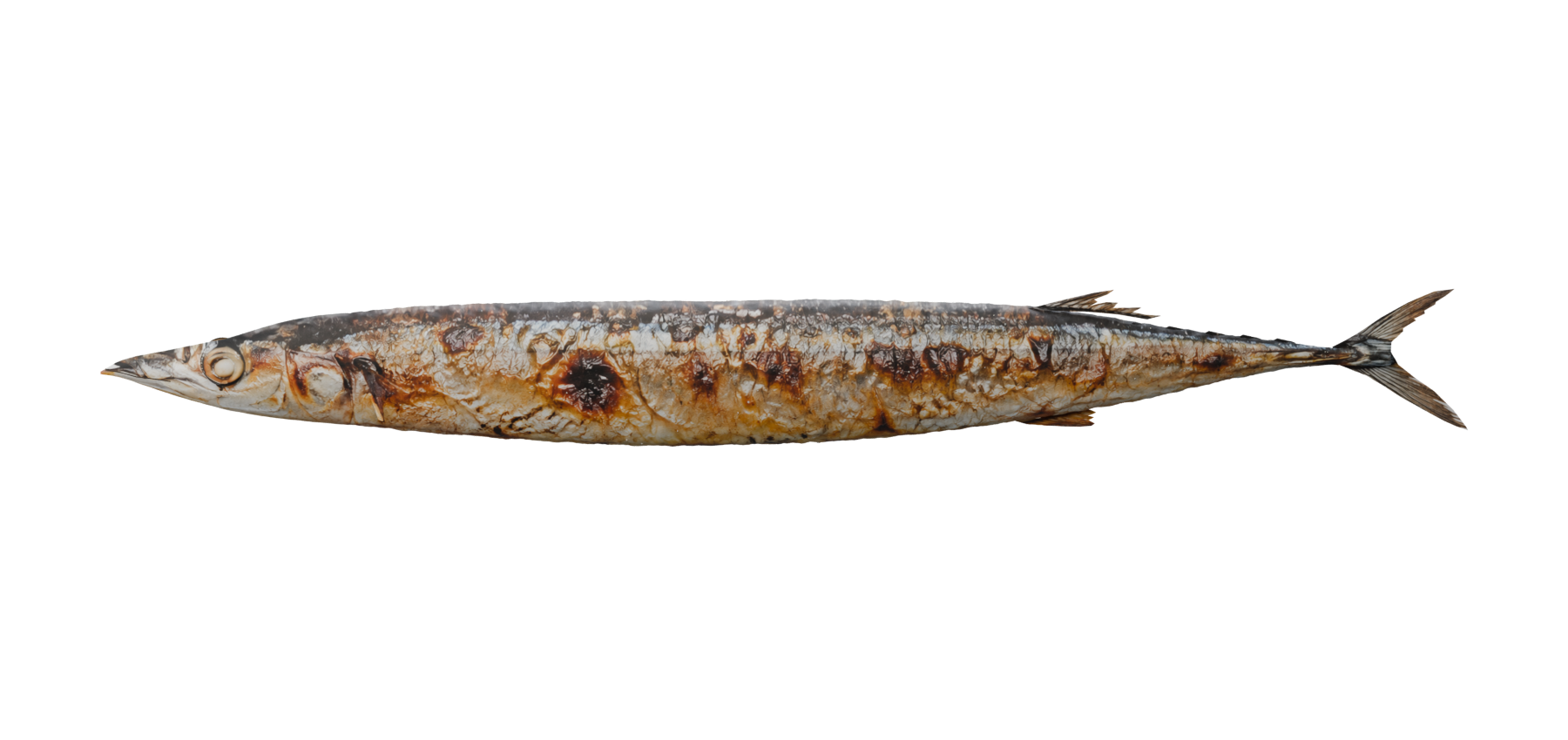 銀色の皮と焦げ目のある焼き秋刀魚